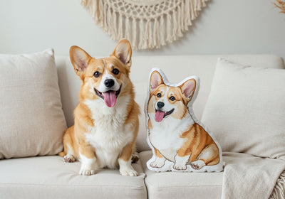 How to Choose the Best Photo for Your Custom Pet Design