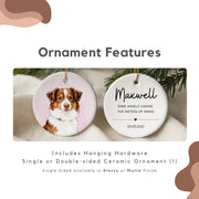 Custom Color Splash Memorial Pet Ornament - Pet Photo + Name Pet Ornaments Mod Paws 