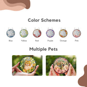 Custom Pet Stained Glass Suncatcher - Pet Photo + Name Suncatchers Mod Paws 