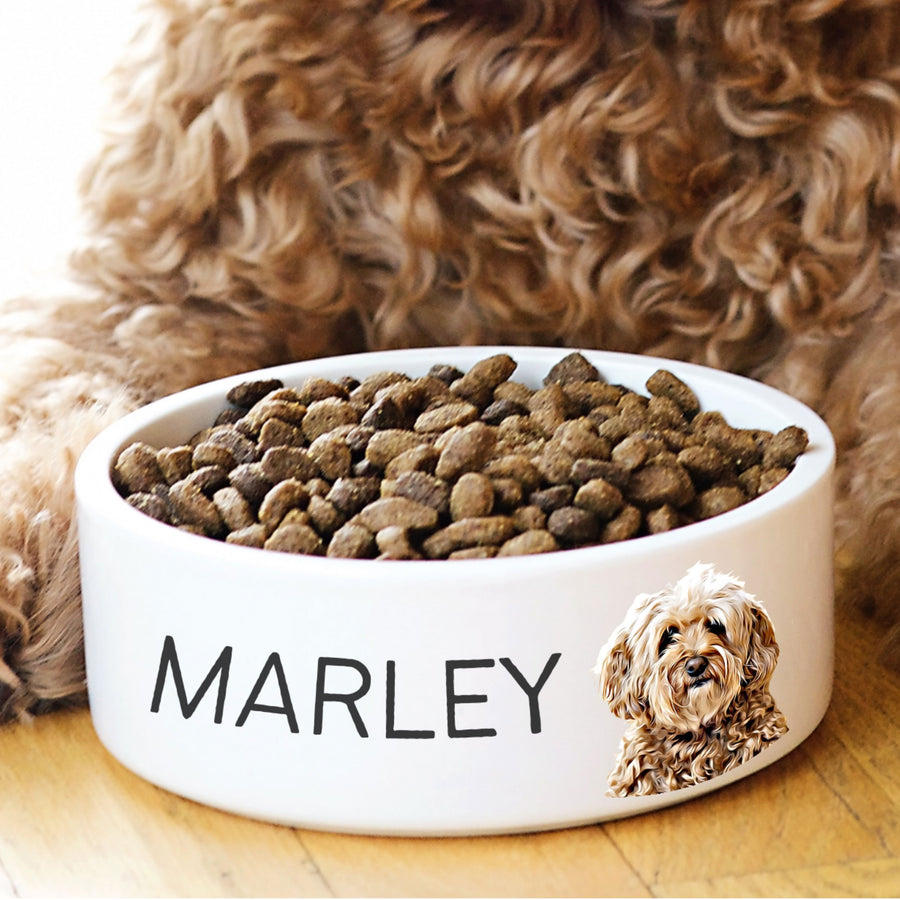 Custom Pet Bowl - Pet Photo + Name Pet Bowl Mod Paws