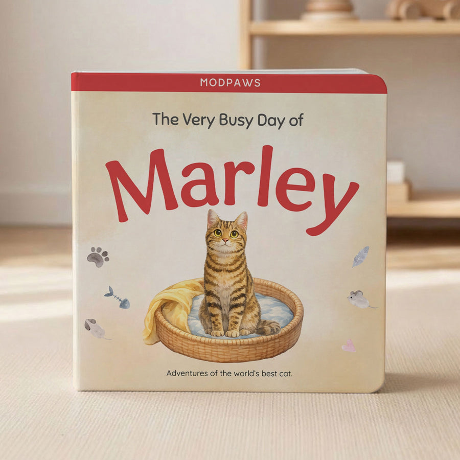 Custom Cat Photo Book Kids Story with Pet Photo + Name Photo Book Mod Paws