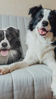 Custom Pet Shaped Cat Dog Pillow - Pet Photo