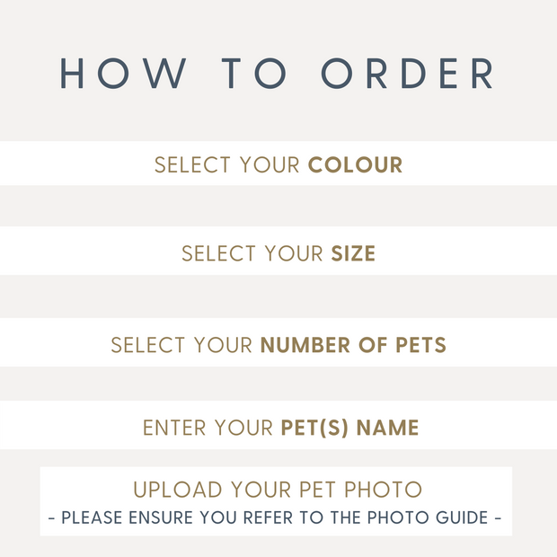 Custom Pet Shirt - Pet Photo + Name Pet Shirt Mod Paws 